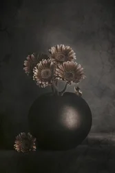 Mörka blommor med groda