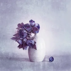 Skira lila blommor