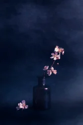 Stämningsfull blomvas