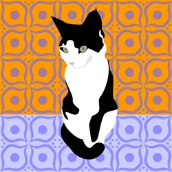 Katt på marockanska plattor