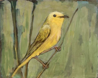Ljusgul fågel