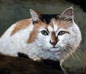 Den vaksamma trefärgade katten