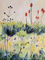 Färgglada sommarblommor