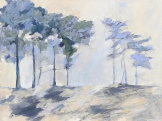 Träd i den dimmiga skogen