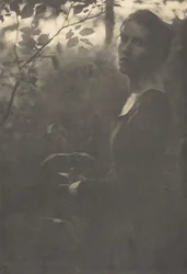 Edge of the Woods, kväll, 1900.