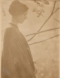 Sunlight, 1899, tryckt 1901.