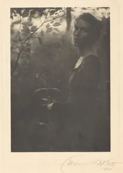 Edge of the Woods, kväll,1900 (foto)