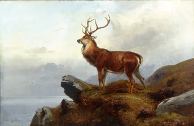 På alerten