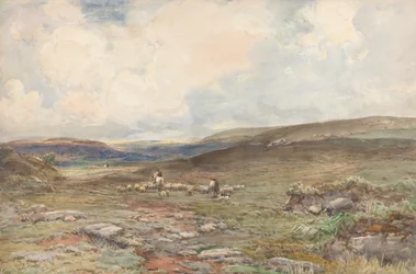 Hedlandskap med får och herde