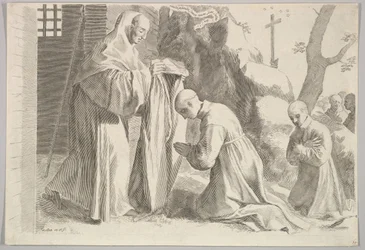 St. Bernard får en munkvana.