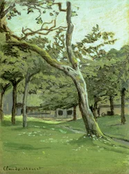 En fruktträdgård