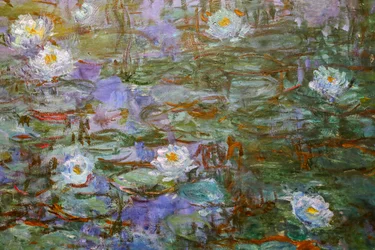 Blå näckrosor (detalj)