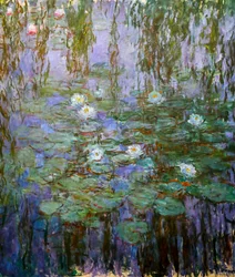 Blå näckrosor (detalj)
