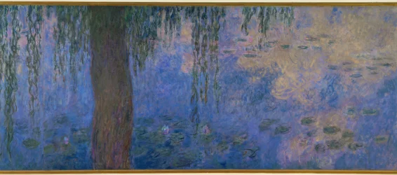 Näckrosdammen med vide, Le Matin aus pilar