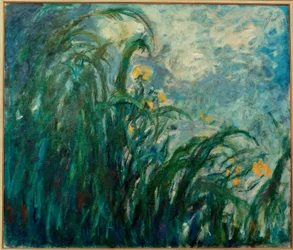 Les Iris jaunes (gula irisar)