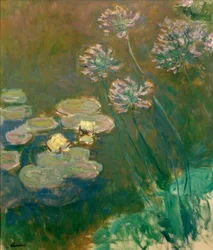 Nymphéas et Agapanthes (näckrosor och agapanthus)