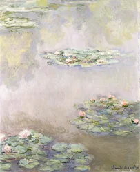 Näckrosor, 1908