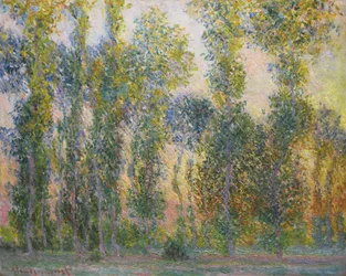 Poplar i Giverny, 1887