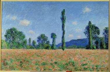 Poppy Field, 1890 (olja på duk)