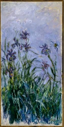 Lila iris, 1914-17
