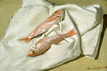 Röd Mullet, ca 1870