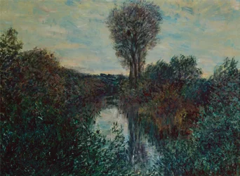Liten gren av Seine