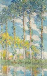 Popplarna, 1891