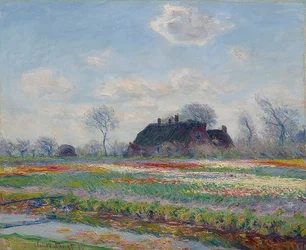 Tulpanfält i Sassenheim, 1886
