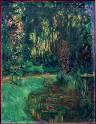 Ett hörn av Giverny-dammen