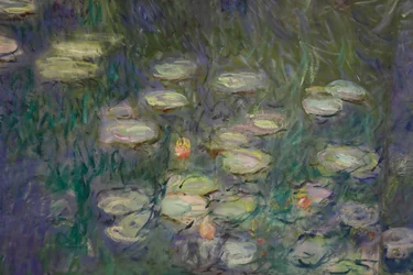 Näckrosor (olja på duk)