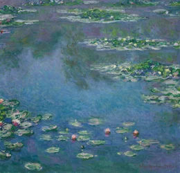 Näckrosor