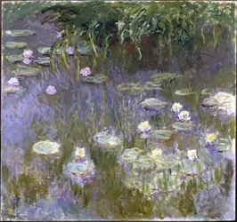 Näckrosor