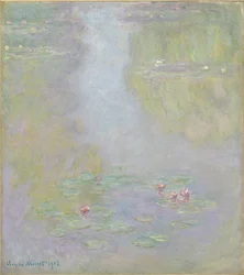 Näckrosor