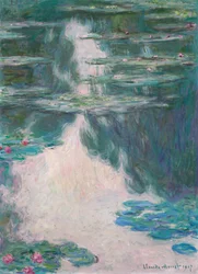 Näckrosor, grått väder