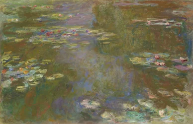 Näckrosdamm, 191719.