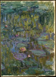 Näckrosor