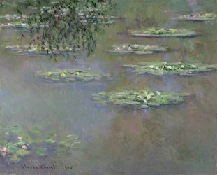 Näckrosor, 1903