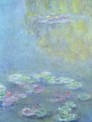 Näckrosor, 1906 (uppgift om 242510)