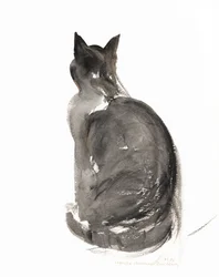 Cat, 1985 (akvarell)