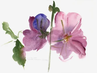 Hollyhocks, 1988 (akvarell)