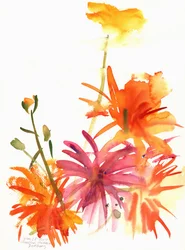 Ringblommor och andra blommor, 2004
