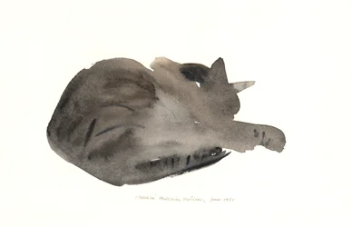 Sovande katt, 1985 (akvarell)