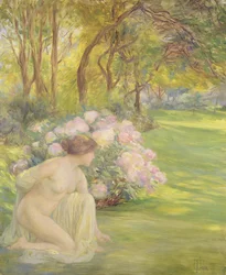 Flora