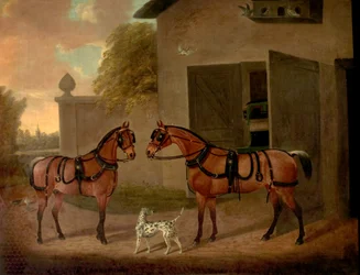 Vagnar, hästar och hundar