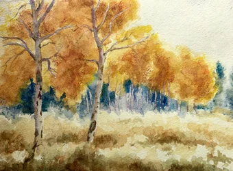 Höstaspar i Tetons, 2011 (akvarell)