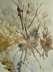Fågelben, Eton, 2010 (akvarell)