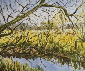 Water Meadows, Kintbury, tidig eftermiddag i maj