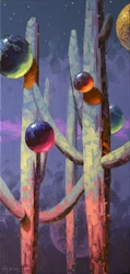 Saguaro – En himmelsk natt