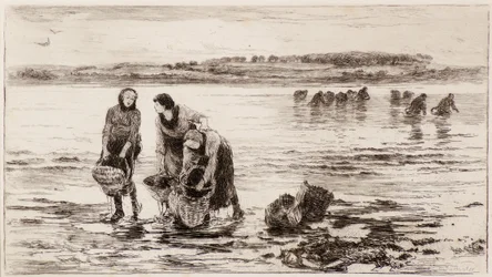 Musselsamlarna