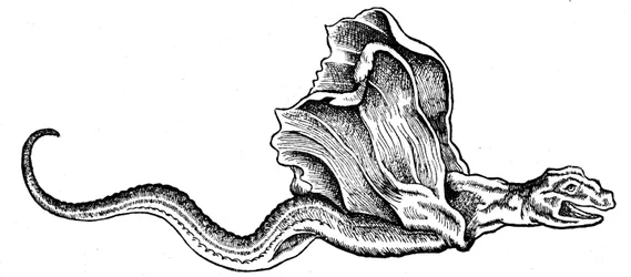 En basilisk